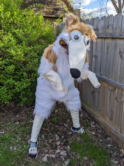 Borzoi Kigusuit