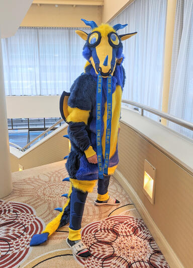 Ikea Dragon Kigusuit